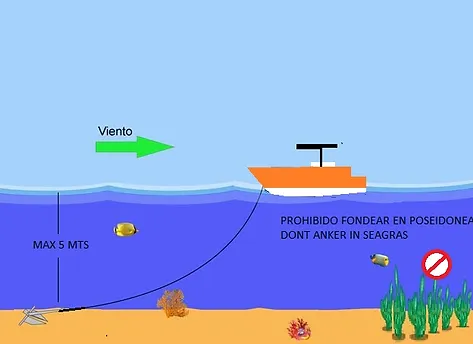 navigation rules